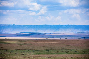 Dağlardaki güzel bir tarla manzarası