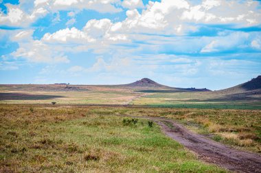 Ağacı ve yolu olan güzel bir manzara.