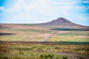 Dağın güzel manzarası