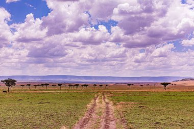 Mavi gökyüzü ve bulutlu güzel bir manzara..