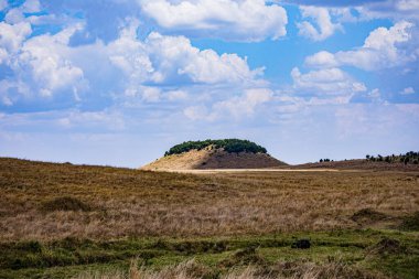 Ağaçları ve mavi gökyüzü olan güzel bir manzara.