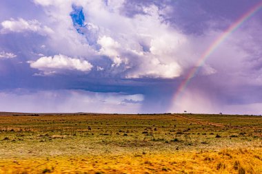 Gökkuşağı tarlada
