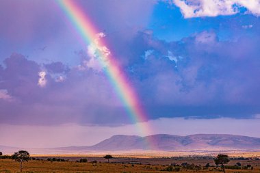 Güney Afrika düzlüklerinde günbatımında gökkuşağı