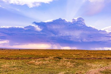 Çayırların üzerinde fırtına bulutları.