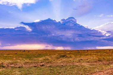 Fırtınanın ortasında dramatik bir gökyüzü. Akşamki dramatik gökyüzü.