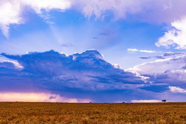 Fırtınanın bulutları gün doğumunda bozkırın üzerinde