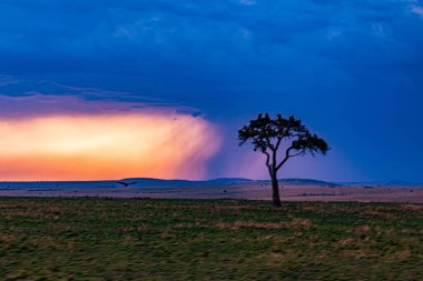 Denizin üzerinde güzel bir gün batımı