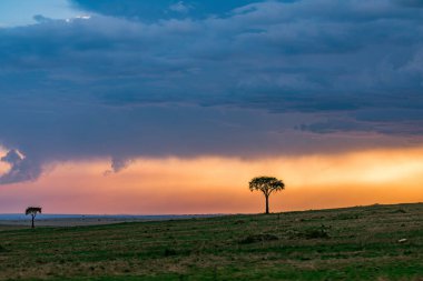 Afrika bozkırlarında gün batımı