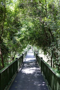 Parkın güzel manzarası