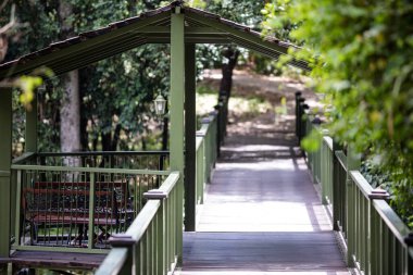 Ormanda ahşap geçit.