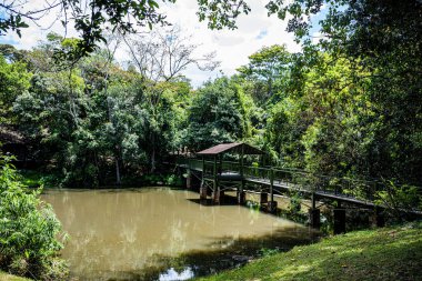 Parktaki ahşap köprü ve gölet