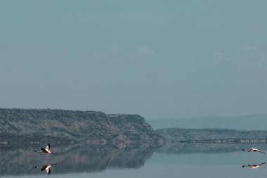 Güzel göl manzarası