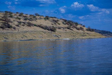 Arkasında bir göl olan güzel bir manzara.