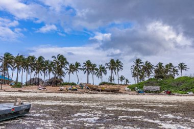 Zanzibar 'da güzel bir sahil, dinlenmek için bir yer.