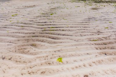 deniz kumu ve sahil arka planı