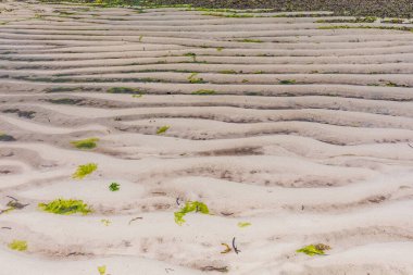 Arka planda kumsal olan güzel bir manzara.