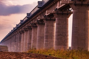 Ormanda demiryolu rayları