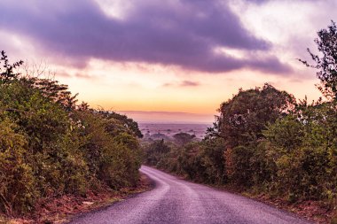 Dağlarda yolun ortasındaki toprak patika. Doğa kavramı.