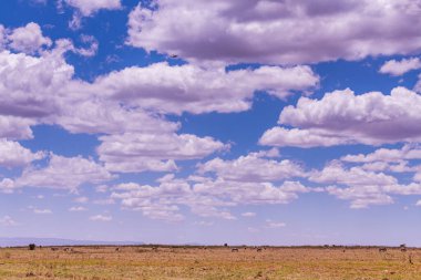 Namibya 'da mavi bulutlu bir gün