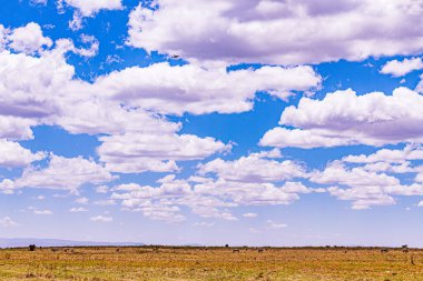 Gökyüzünde arka planda büyük bir bulutla güzel bir manzara