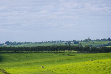 Sabah güzel bir manzara.