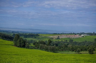Dağlardaki yeşil tarlaların manzarası
