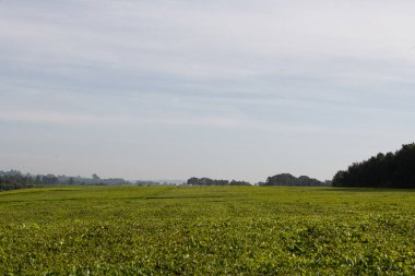 Doğanın güzel manzarası