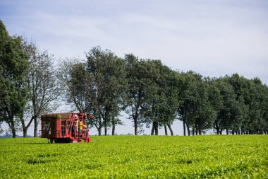 Mavi gökyüzü olan bir alanda tarım makineleri
