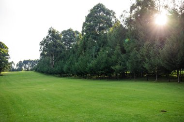 Parktaki golf sahası