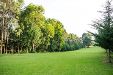 Parktaki golf sahası