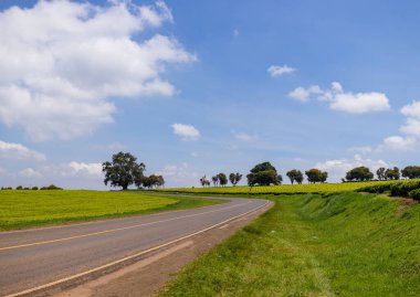 Brezilya 'nın kırsal kesiminde yol