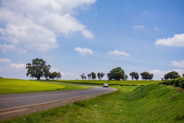 Yeşil yol ve mavi gökyüzü
