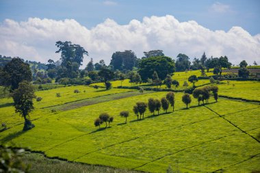 Gökyüzünün arka planındaki dağların güzel manzarası