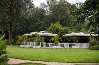 Doğa arka planında güzel bir düğün töreni