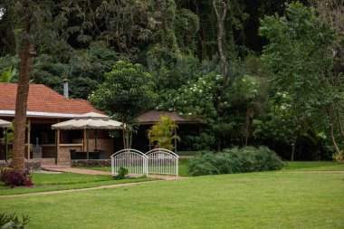 Parkta ahşap bir bank olan güzel bir bahçe manzarası.