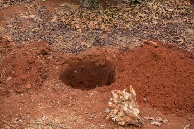 Kırsal kesimde toprak yığını, tarım, bahçıvanlık kavramı