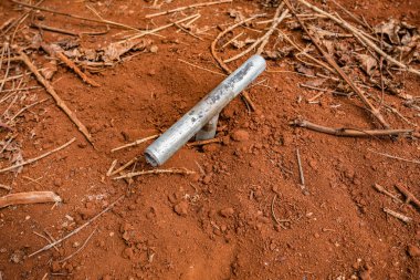 Ormandaki topraklar.