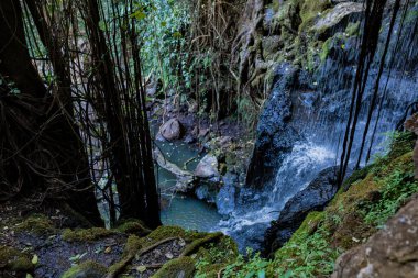 Ormanda güzel bir şelale.
