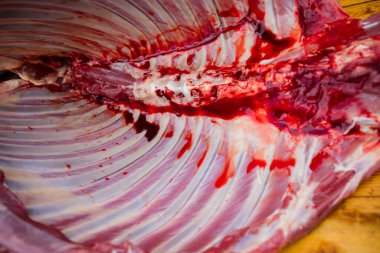 taze çiğ Dana eti.