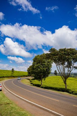 Dağlardaki güzel yol manzarası