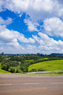 Mavi gökyüzünün yeşil tarlası.