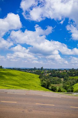 Brezilya 'da manzara. Mavi gökyüzü olan güzel yeşil çimenler.