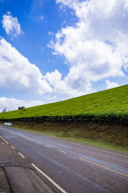 yol havada, yeşil tarlalarda