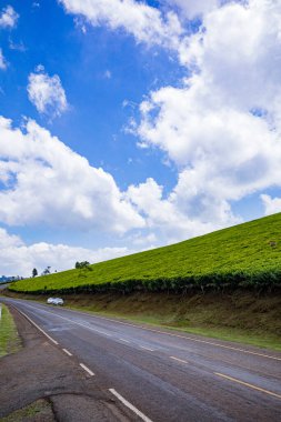 Yeşil çimenler ve mavi gökyüzü boyunca yol