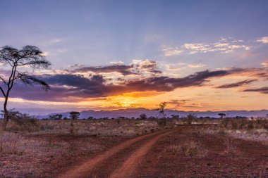 Savanada güzel bir gün batımı.