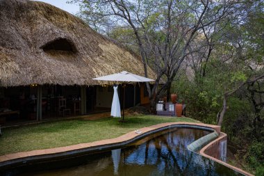 Arka planda ahşap çatılı bir yüzme havuzu manzarası