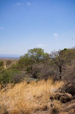 Doğanın güzel manzarası