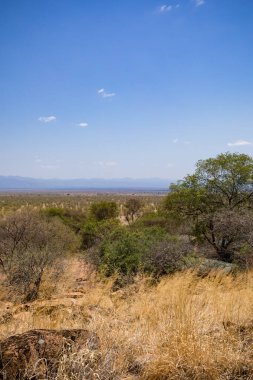 view of the savannah in the mountains of the central part of kenya clipart