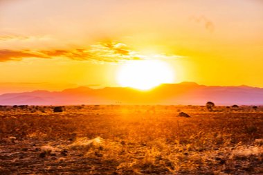 Afrika, Kenya 'da gün batımı