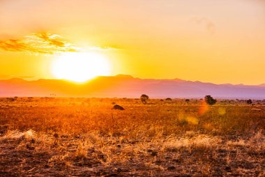 Namibya çölünde sıcak bir yaz gününde gün batımı